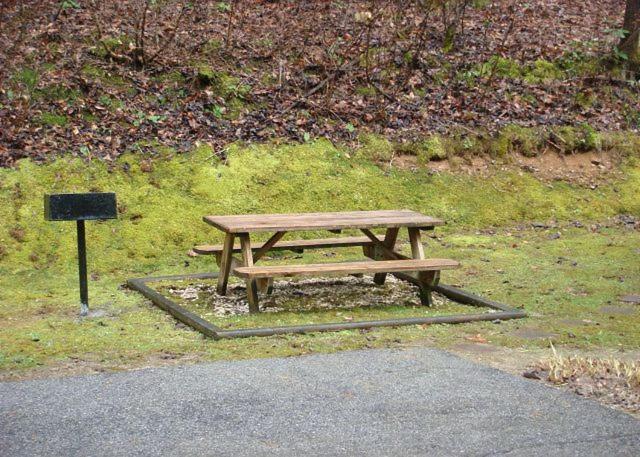 Romantic Retreat ガトリンバーグ エクステリア 写真